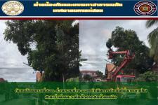 ดับเพลิงนครเเม่สอด ร่วมกองช่าง ออกดำเนินการตัดต้นไม้พาดสายไฟ ศาลเจ้าพ่อพะวอใกล้ตลาดสดบ้านเหนือ