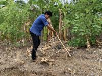 กองวิชาการและแผนงาน จัดกิจกรรมปลูกต้นไม้คืนป่า