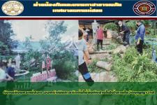 ดับเพลิงนครแม่สอด ออกดำเนินการตัดต้นไม้ล้มทับสายไฟฟ้าภายในวัดบุญญาวาส