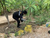 กองวิชาการและแผนงาน จัดกิจกรรมปลูกต้นไม้คืนป่า