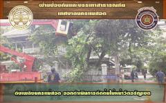 ดับเพลิงนครแม่สอด ออกดำเนินการตัดต้นไม้พาดผ่านสายไฟฟ้าหน้าวัดอรัญเขต