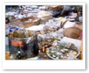 การแยกขยะ