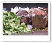 การแยกขยะ