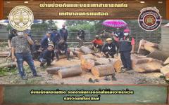 ดับเพลิงนครแม่สอด ออกตัดต้นไม้หักโค่นหลังวัดมณีไพรสณฑ์