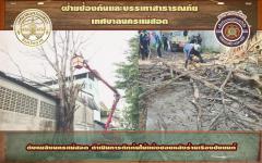 ดับเพลิงนครแม่สอด ดำเนินการตัดต้นไม้แห้งซอยหลังร้านเรืองชัยยนต์แม่สอด