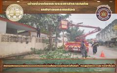 ดับเพลิงนครแม่สอดออกตัดแต่งต้นไม้พาดผ่านสายไฟฟ้า วัดสุนทริกาวาส(วัดป่าใหม่)