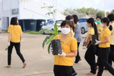กองยุทธศาสตร์และงบประมาณ ร่วมกิจกรรมปลูกต้นไม้ประจำปี พ.ศ.2564