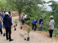 กองวิชาการและแผนงาน จัดกิจกรรมปลูกต้นไม้คืนป่า