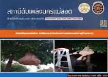 ดับเพลิงนครแม่สอด ดำเนินการกำจัดรังต่อวัดแม่ซอดหน้าด่าน(วัดหลวง)