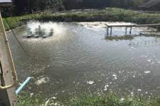 การบำบัดน้ำเสีย