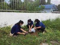 กิจกรรมปลูกต้นไม้