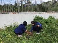 กิจกรรมปลูกต้นไม้