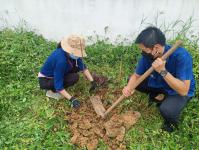 กิจกรรมปลูกต้นไม้