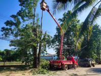 ออกตัดกิ่งไม้ และขนทิ้ง บริเวณชุมชนจ๊อกจอ 