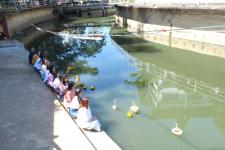 ร่วมรณรงค์เพื่อสืบสานคุณค่าทางวัฒนธรรมไทยประเพณีลอยกระทง