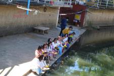 ร่วมรณรงค์เพื่อสืบสานคุณค่าทางวัฒนธรรมไทยประเพณีลอยกระทง