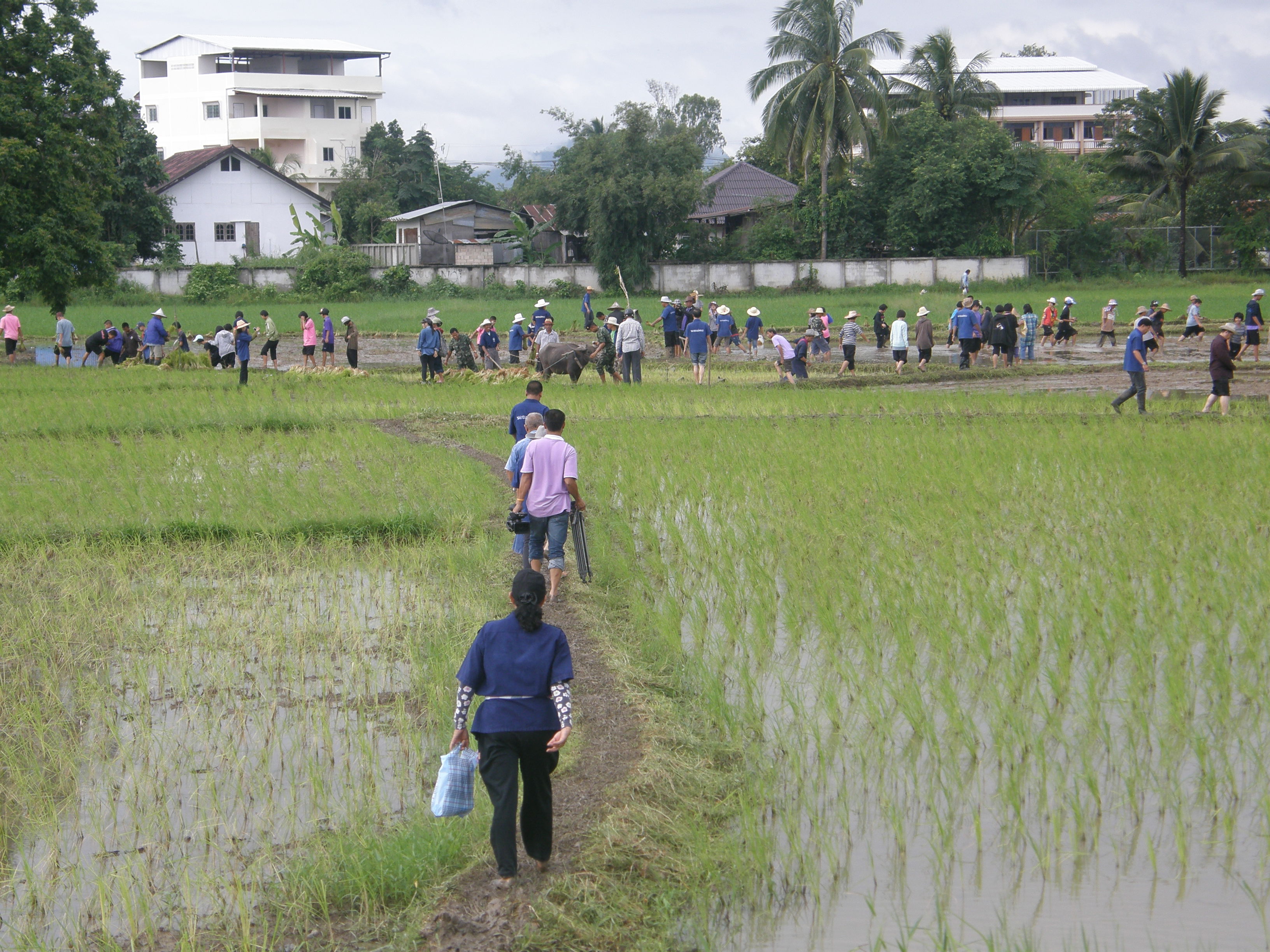 https://www.nakhonmaesotcity.go.th/frontend/images/grouppage/news_photo/11258.JPG?1612