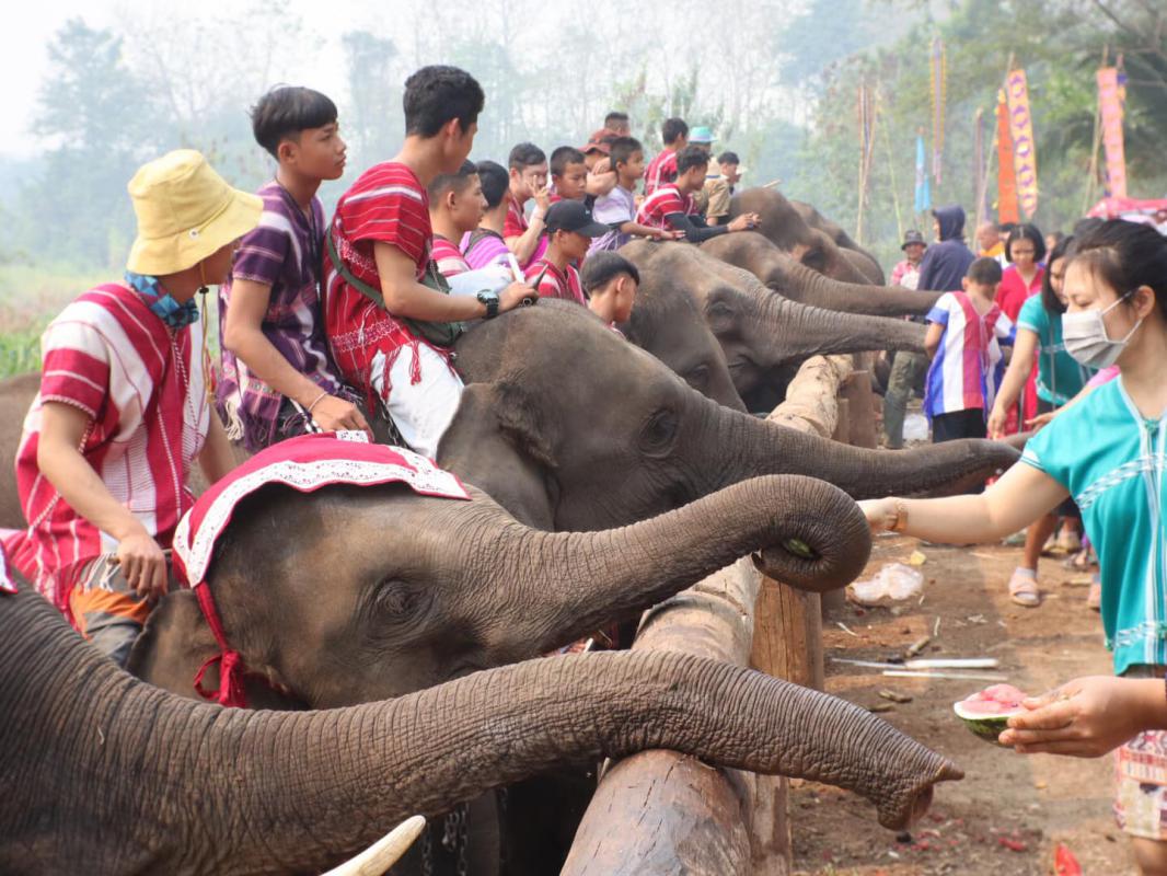 วันช้างไทย ที่บ้านเพราะช้าง-ยะพอ เมืองเพอะพะ (พบพระ) จ.ตาก