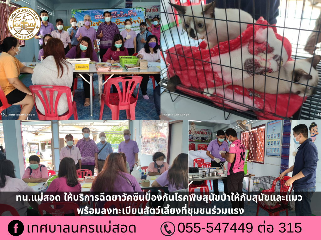 https://www.nakhonmaesotcity.go.th/frontend/images/grouppage/news_photo/28908.png?1715