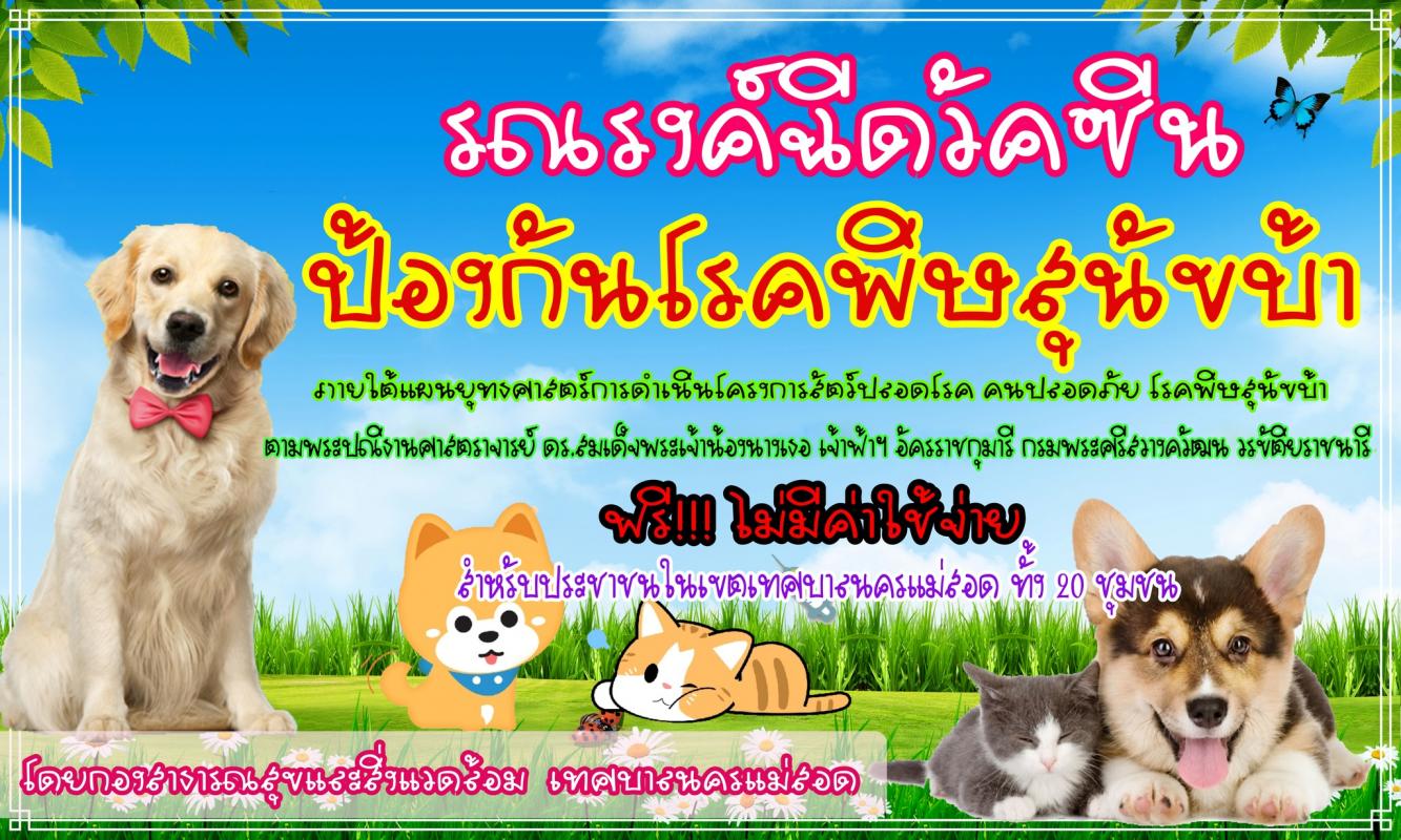 https://www.nakhonmaesotcity.go.th/frontend/images/grouppage/news_photo/38819.jpg?5553