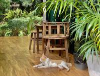 Ava Cafe เอวา คาเฟ่