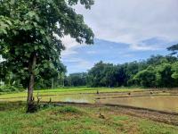 คำเมือง คาเฟ่ แอนด์ ฟาร์ม