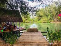 คาเฟ่ในสวน