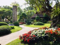 ข้าวเม่า-ข้าวฟ่าง