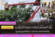ทน.แม่สอด ลงพื้นที่ดำเนินการตัดต้นไม้และกิ่งไม้ ชุมชนชุมพลพัฒนา เขตเทศบาลนครแม่สอด