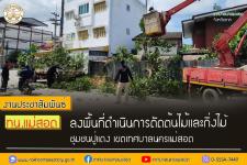 ทน.แม่สอด ลงพื้นที่ดำเนินการตัดต้นไม้และกิ่งไม้ ชุมชนปู่แดง เขตเทศบาลนครแม่สอด