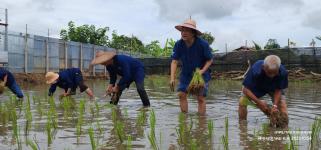 ทน.แม่สอด จัดโครงการผู้สูงอายุอุ่นใจ ใช้สมุนไพรใกล้ตัวอย่างถูกวิธี