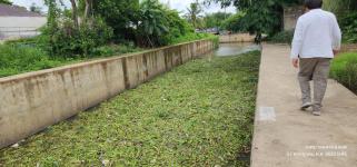 ทน.แม่สอด ลงพื้นที่ติดตามการกำจัดผักตบชวา วัชพืชและสิ่งกีดขวางทางน้ำห้วย ชุมชนสองแคว 2