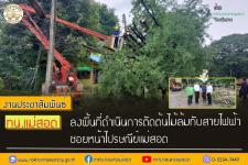 ทน.แม่สอด ลงพื้นที่ดำเนินการตัดต้นไม้ล้มทับสายไฟฟ้า ซอยหน้าไปรษณีย์แม่สอด