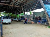 ทน.แม่สอด ลงพื้นที่ดำเนินการพ่นสารเคมีจำกัดยุง ในเขตเทศบาลนครแม่สอด