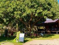 Foresta Cafe & Hangout