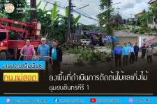ทน.แม่สอด ลงพื้นที่ดำเนินการตัดต้นไม้และกิ่งไม้ ชุมชนอินทรคีรี 1 เขตเทศบาลนครแม่สอด