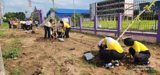 ทน.แม่สอด ร่วมกิจกรรมปลูกต้นกัลปพฤกษ์ บริเวณโรงเรียนเทศบาลเฉลิมพระเกียรติฯ และโรงเรียนกีฬาเทศบาลฯ
