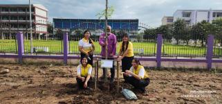 ทน.แม่สอด ร่วมกิจกรรมปลูกต้นกัลปพฤกษ์ บริเวณโรงเรียนเทศบาลเฉลิมพระเกียรติฯ และโรงเรียนกีฬาเทศบาลฯ