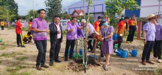 ทน.แม่สอด ร่วมกิจกรรมปลูกต้นกัลปพฤกษ์ บริเวณโรงเรียนเทศบาลเฉลิมพระเกียรติฯ และโรงเรียนกีฬาเทศบาลฯ