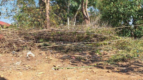เทศบาลนครแม่สอด ลงพื้นที่สำรวจสุสานบ้านเหนือ