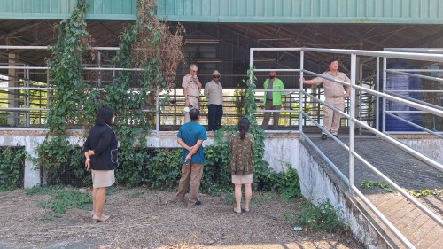 เทศบาลนครแม่สอด ลงพื้นที่สำรวจโรงฆ่าสัตว์ เทศบาลนครแม่สอด