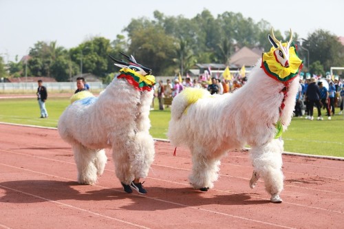 ทน.แม่สอด เข้าร่วมโครงการแข่งขันกีฬาประสานพลังแผ่นดินต่อต้านยาเสพติด อำเภอแม่สอด จังหวัดตาก ครั้งที่ 7 ประจำปี พ.ศ.2567