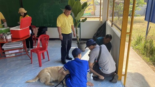 เทศบาลนครแม่สอด ลงพื้นที่ฉีดวัคซีนป้องกันโรคพิษสุนัขบ้า