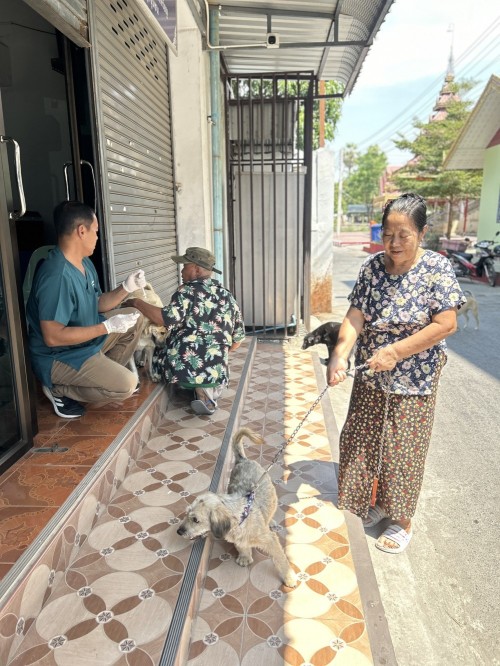 เทศบาลนครแม่สอด ลงพื้นที่ออกหน่วยฉีดวัคซีนป้องกันโรคพิษสุนัขบ้าทั้ง 20 ชุมชน ในเขตเทศบาลนครแม่สอด
