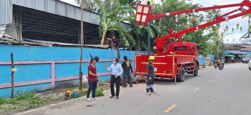 เทศบาลนครแม่สอด ลงพื้นที่ดำเนินการตัดต้นไม้ กิ่งไม้ บริเวณโรงเรียนแม่สอด