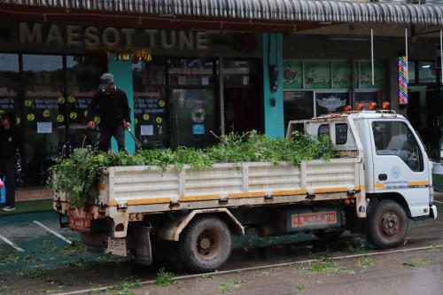 ทน.แม่สอด จัดกิจกรรมจิตอาสาพัฒนาปรับปรุงภูมิทัศน์เฉลิมพระเกียรติ พระบาทสมเด็จพระเจ้าอยู่หัว เนื่องในโอกาสพระราชพิธีมหามงคลเฉลิมพระชนมพรรษา 6 รอบ 28 กรกฎาคม 2567