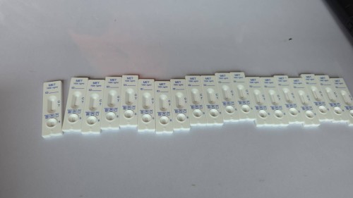 ทน.แม่สอด ร่วมกับอำเภอแม่สอดจัดโครงการมหาดไทยสีขาวสร้างพื้นที่ปลอดภัยหยุดยั้งยาเสพติด ประจำปี 2568