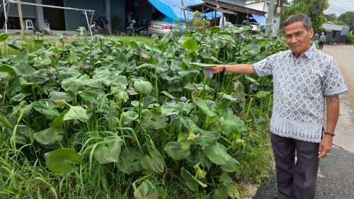 ทน.แม่สอด ลงพื้นที่สำรวจเส้นทางน้ำเพื่อแก้ไขปัญหาน้ำท่วมขังในเขตพื้นที่ชุมชนสักทอง