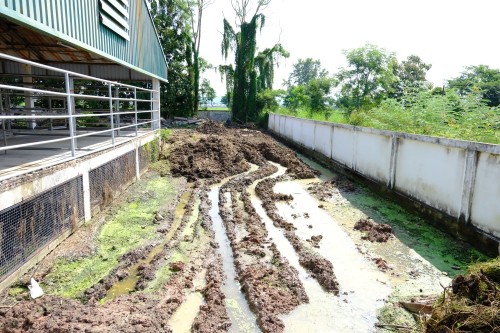 เทศบาลนครแม่สอด ลงพื้นที่ดำเนินการปรับปรุงภูมิทัศน์ โรงฆ่าสัตว์เทศบาลนครแม่สอด