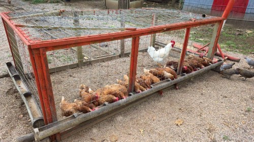 ทน.แม่สอด ร่วมพิธีเปิดป้ายเรือนจำชั่วคราวห้วยหินฝน สังกัดเรือนจำอำเภอแม่สอด กรมราชทัณฑ์ 